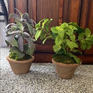 Artificial Green and Purple Potted Plants